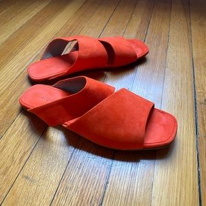 Alumnae Slashed Slide